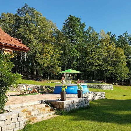 Sarna Karkonosze Apartment Bukowiec  Bagian luar foto