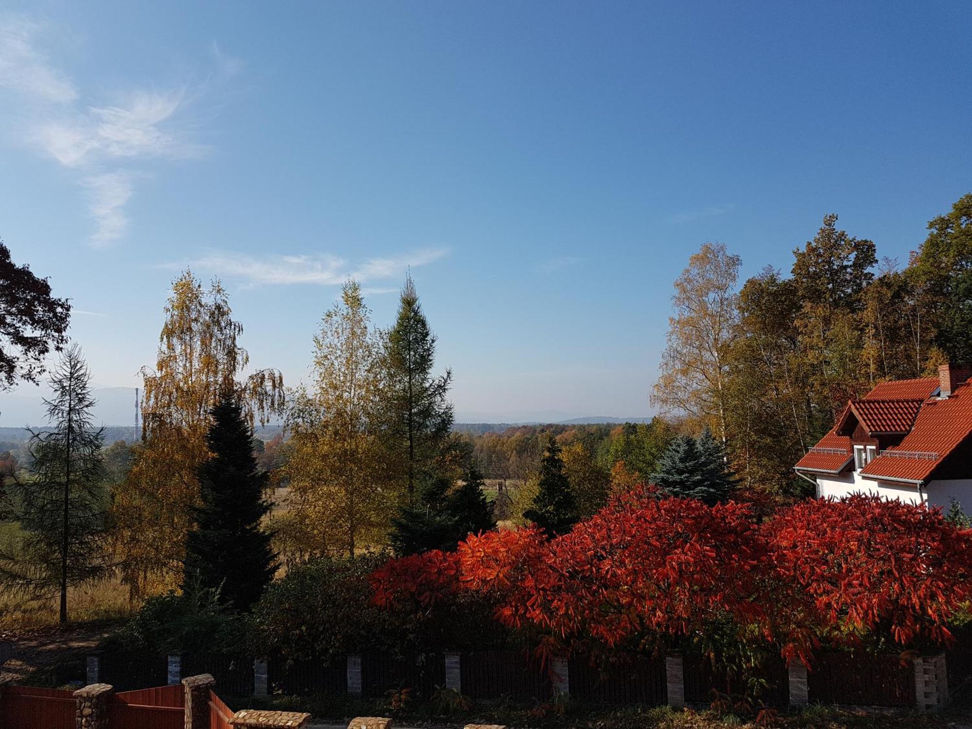 Sarna Karkonosze Apartment Bukowiec  Bagian luar foto