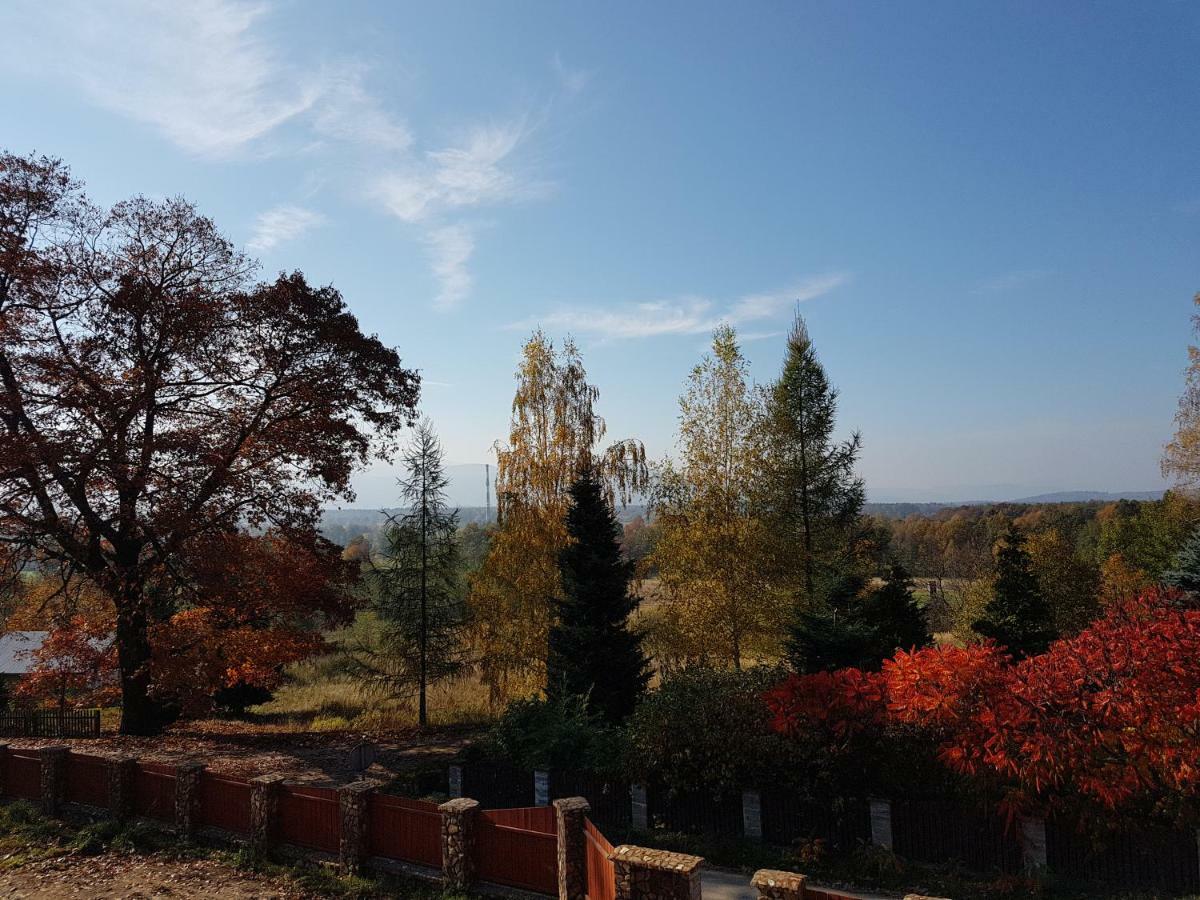 Sarna Karkonosze Apartment Bukowiec  Bagian luar foto