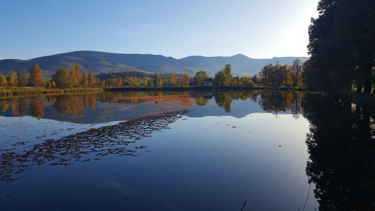 Sarna Karkonosze Apartment Bukowiec  Bagian luar foto