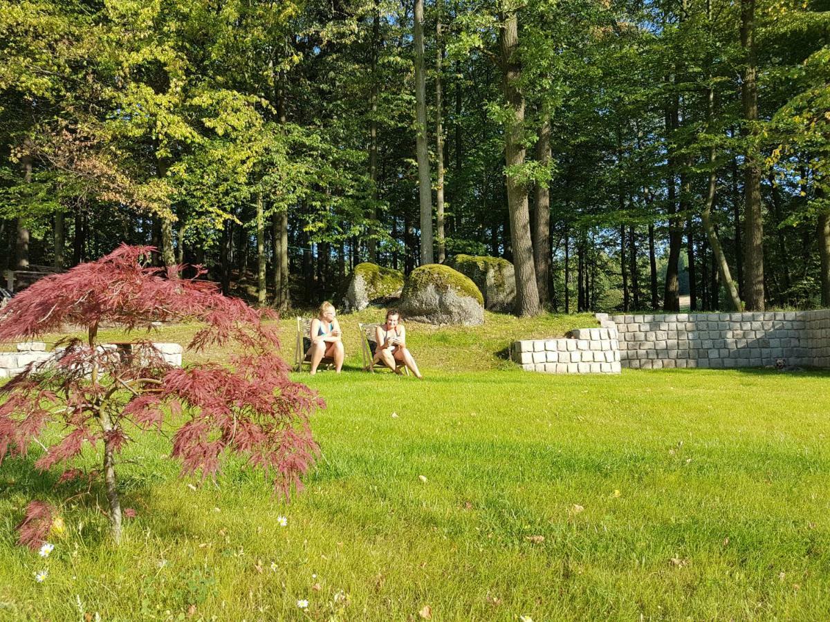 Sarna Karkonosze Apartment Bukowiec  Bagian luar foto